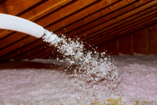 Best Cellulose Insulation  in Brookhaven, PA