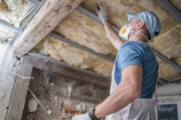 Best Attic Insulation Installation  in Brookhaven, PA