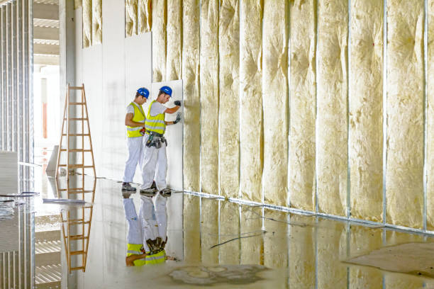 Best Residential Insulation Services  in Brookhaven, PA